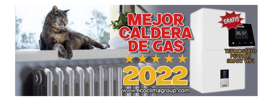 dividendo Humedad toxicidad Mejores Calderas del año 2022 : las mejores calderas de gas - Ecoclimagroup