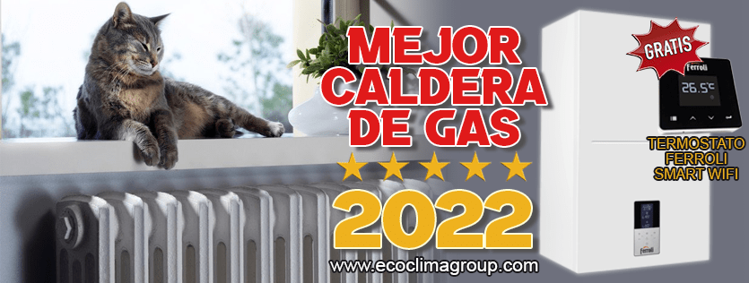 Mejores Calderas del año 2022 : las mejores calderas de gas
